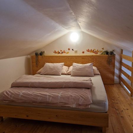 Apartmany Sophia 5 A 6 Velké Losiny Exteriör bild